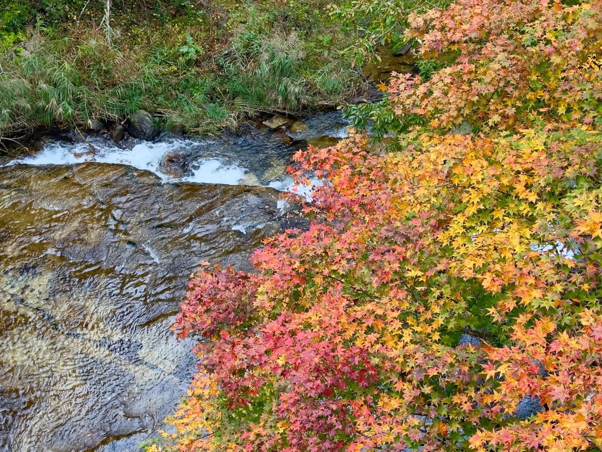 Hana To Hana Nikko Dış mekan fotoğraf